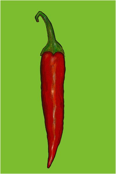 Red Hot Chilli Pepper by Sarah Thompson Engels